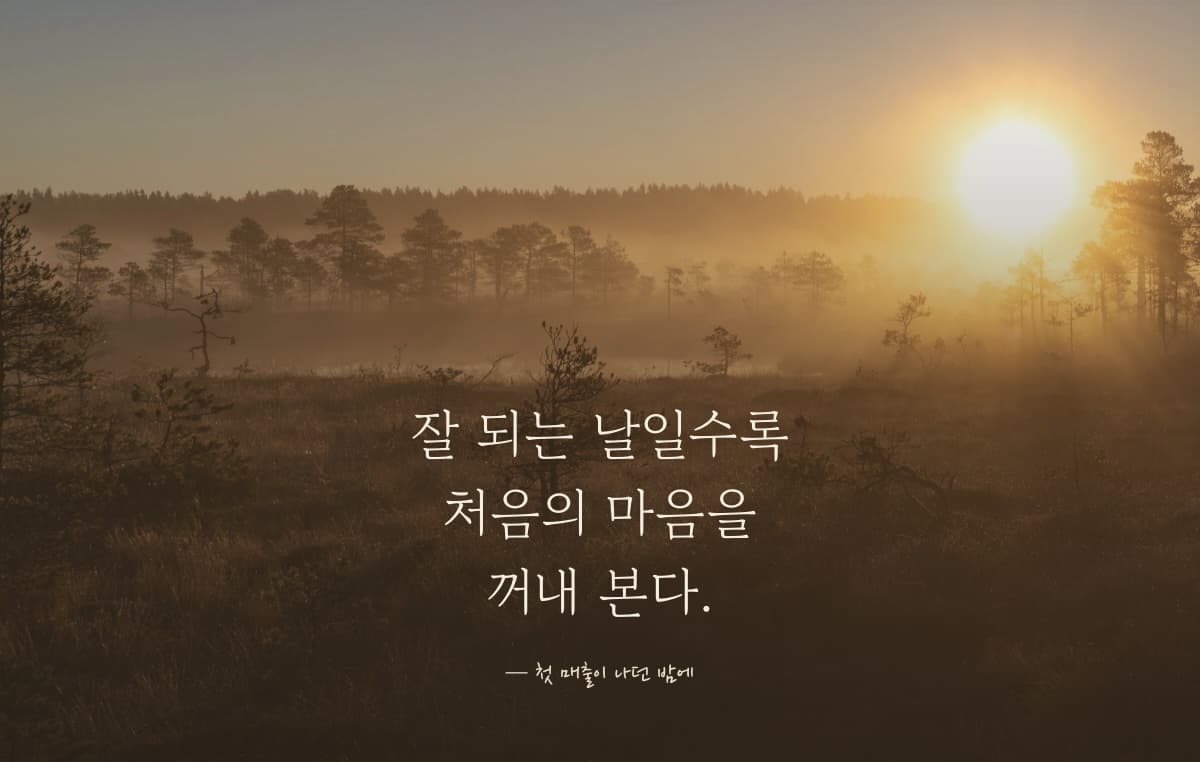 해 뜨는 들판 사진 위에 잘 되는 날일수록 처음의 마음을 꺼내 본다는 문장이 떠 있는 화면