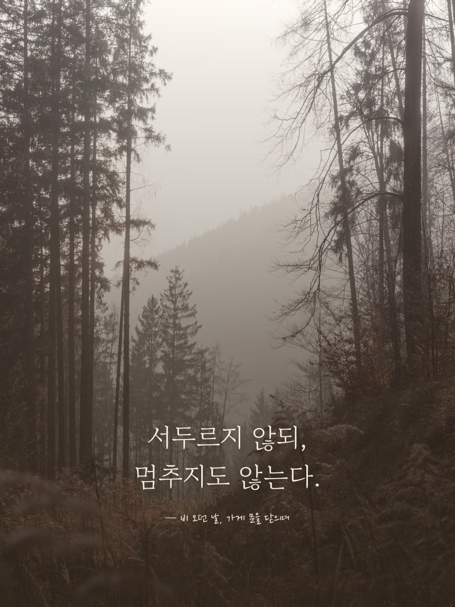 안개 낀 숲 사진 위에 서두르지 않되 멈추지도 않는다는 문장이 떠 있는 아침 화면